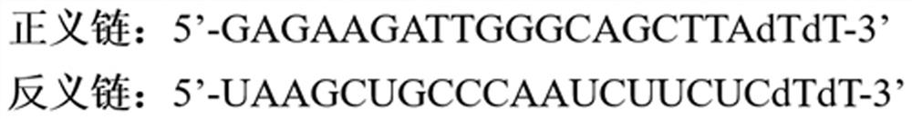 Application of PRPF6 to treatment of prostatecancer and castration-resistant prostate cancer