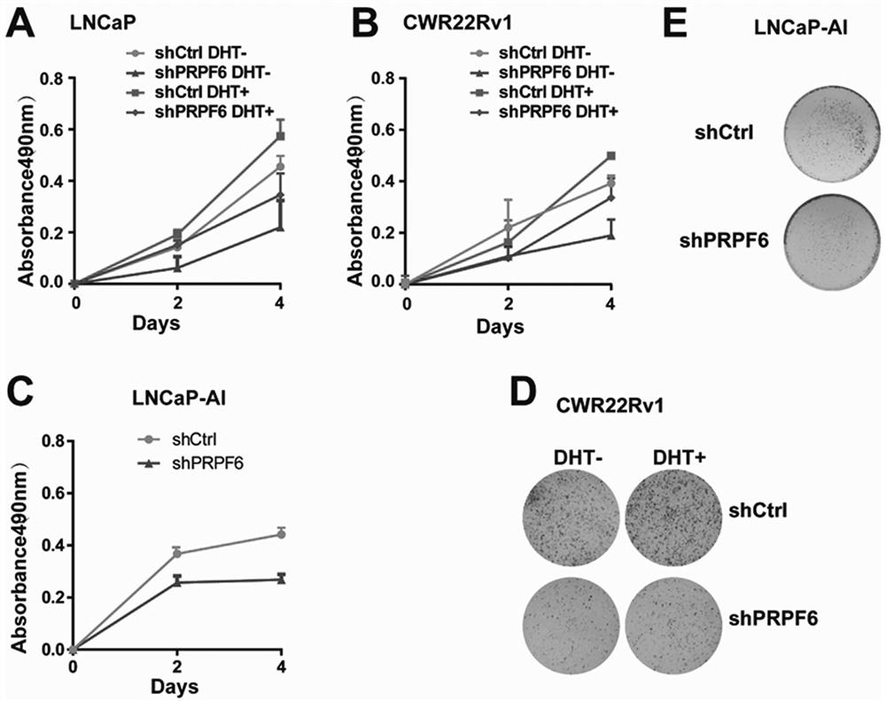 Application of PRPF6 to treatment of prostatecancer and castration-resistant prostate cancer