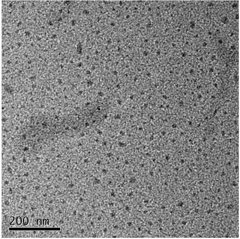 Preparation method of tartaric acid and citric acid compound nitrogen-doped fluorescent polymer nano point