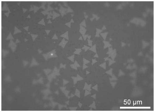 Transition metal sulfur-group compound thin-layer material as well as preparation method thereof and application thereof