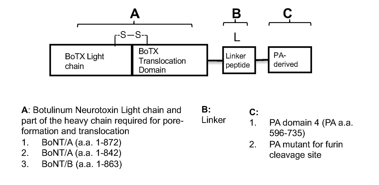 Compositions and methods for treatment of pain