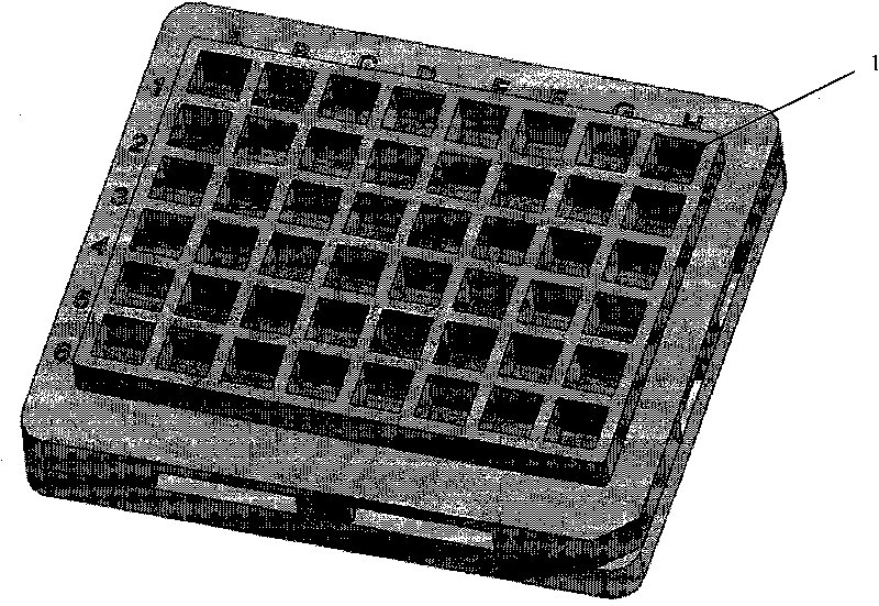 Protein chip for female infertility detection and kit thereof