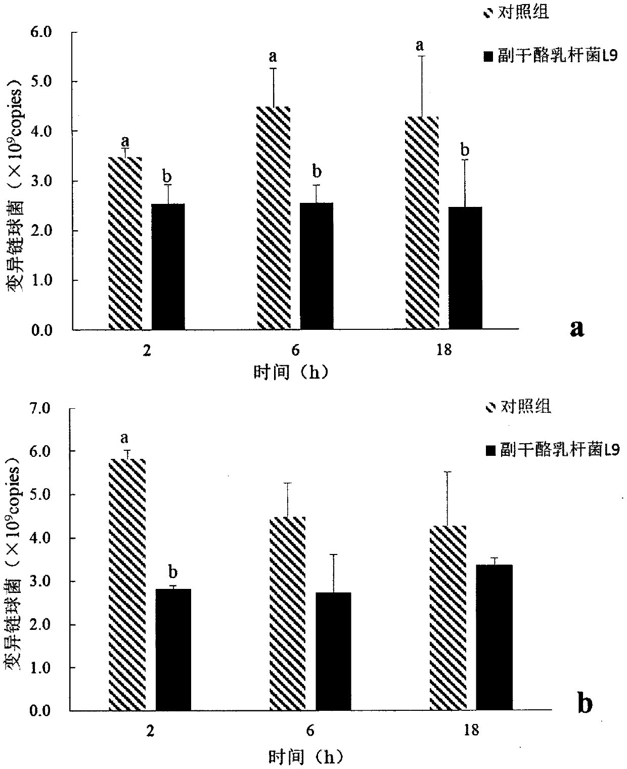 Application of lactobacillus paracasei L9 to prevention or treatment oral disease and regulation of oral cavity flora