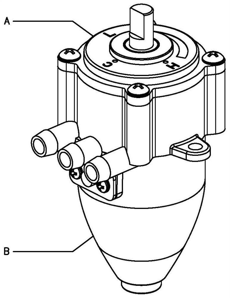 Multifunctional water outlet device and water dispenser thereof