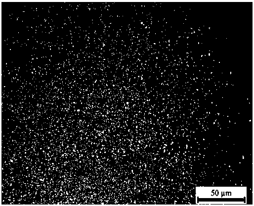 A kind of cyanide-free silver plating electroplating solution