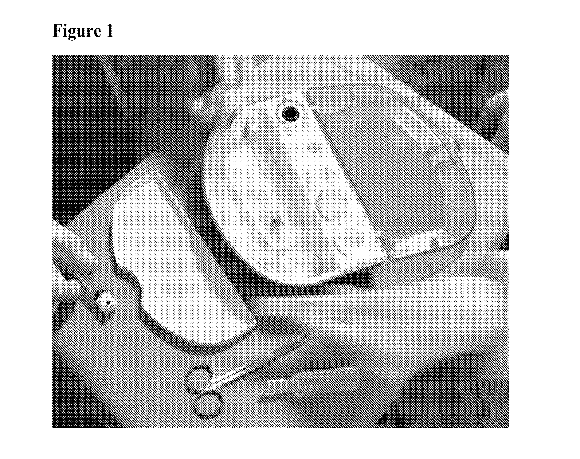 Systems and Methods for Tissue Processing and Preparation of Cell Suspension Therefrom