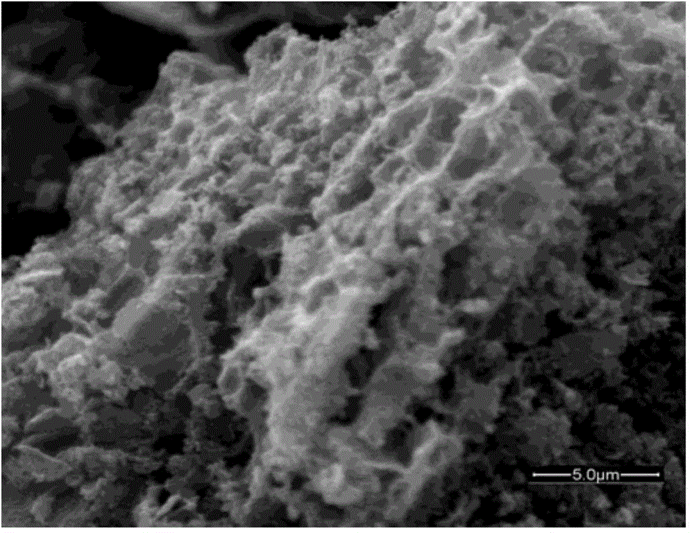 Preparation method for magnetic carbonaceous solid acid catalyst