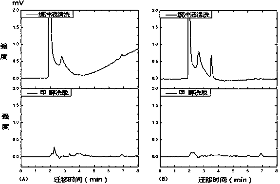 An organic polymeric monolithic column that specifically recognizes ochratoxin and its preparation method