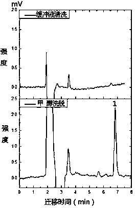 An organic polymeric monolithic column that specifically recognizes ochratoxin and its preparation method