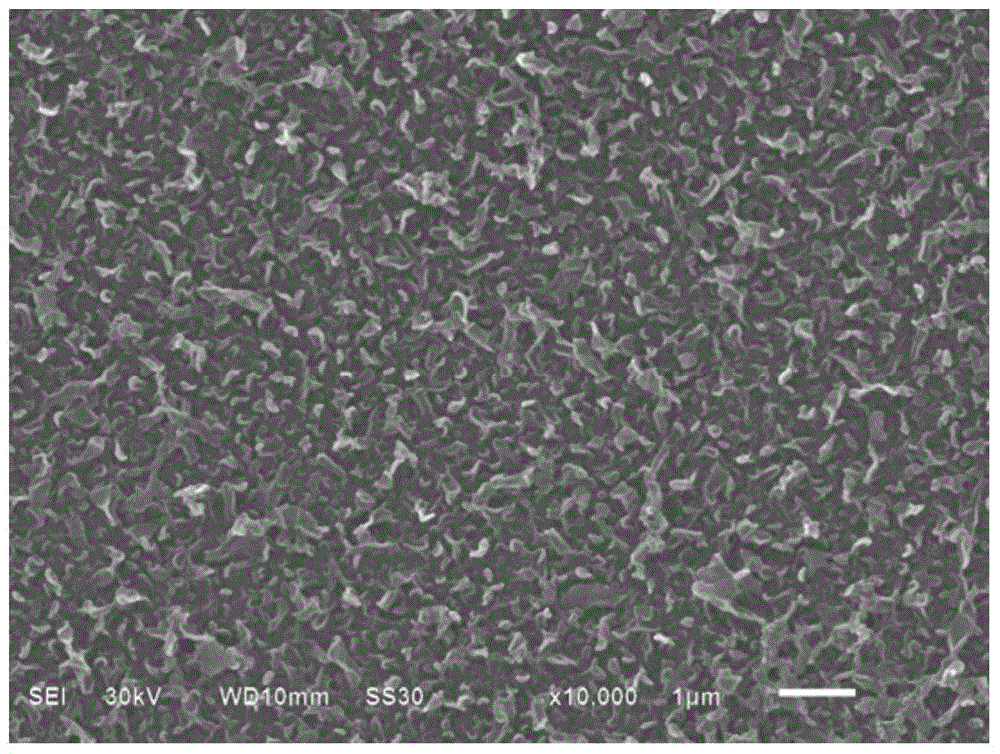 A kind of hydrophilic anti-fouling polyamide composite reverse osmosis membrane and preparation method thereof