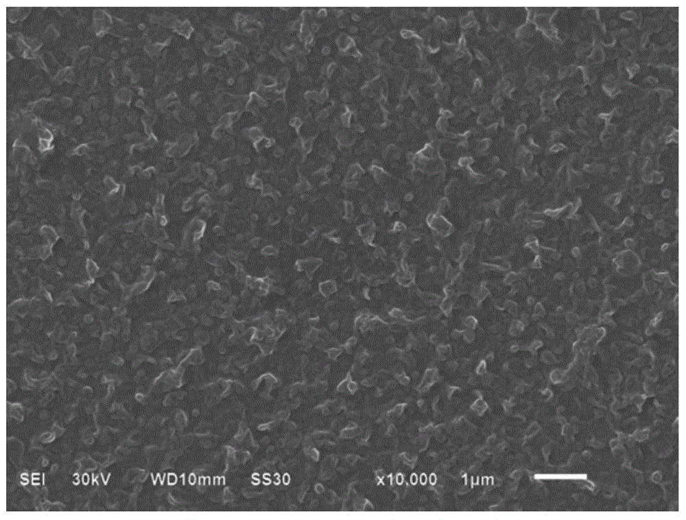 A kind of hydrophilic anti-fouling polyamide composite reverse osmosis membrane and preparation method thereof