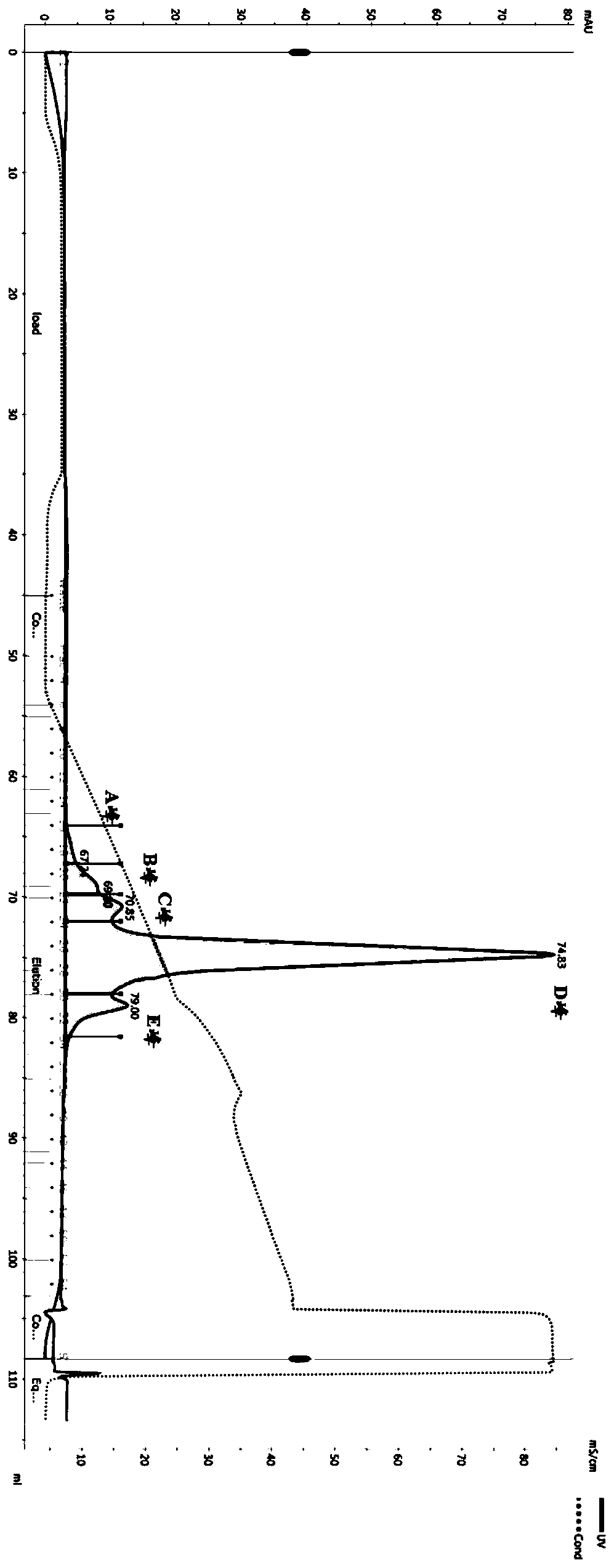 Bispecific antibody and preparation method and application thereof