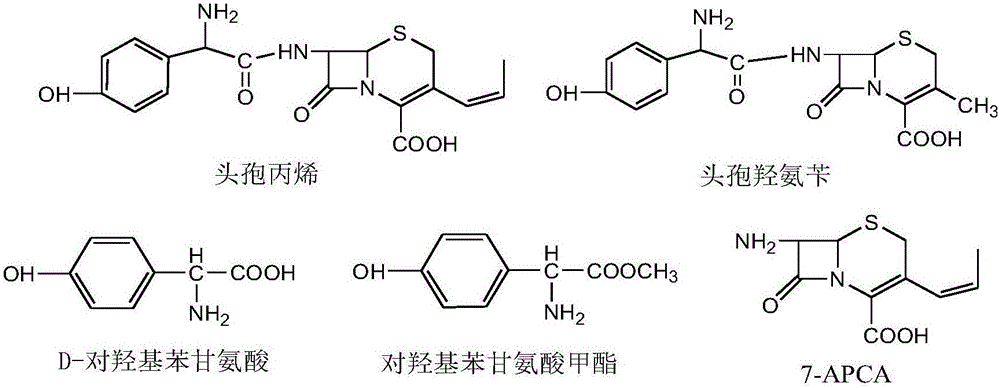 Method for recovering D-p-hydroxyphenylglycine (D-HPG) from cefprozil production waste liquid in enzyme synthesis process