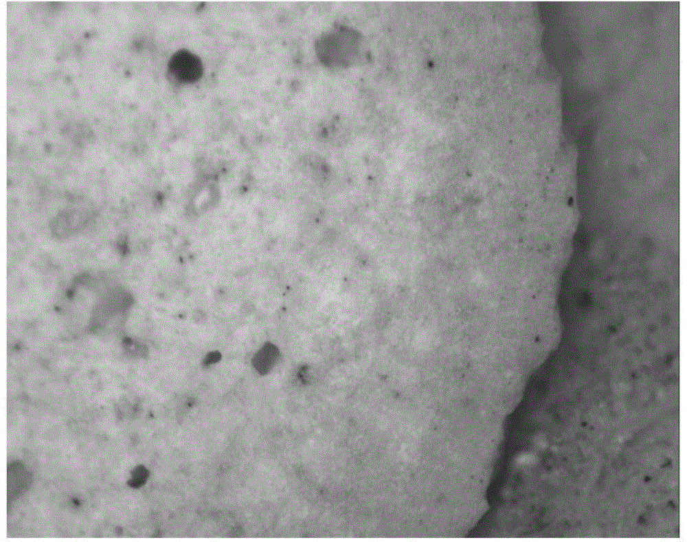 Light ceramsite co-sintered on surface by virtue of sodium borate and preparation method of light ceramsite