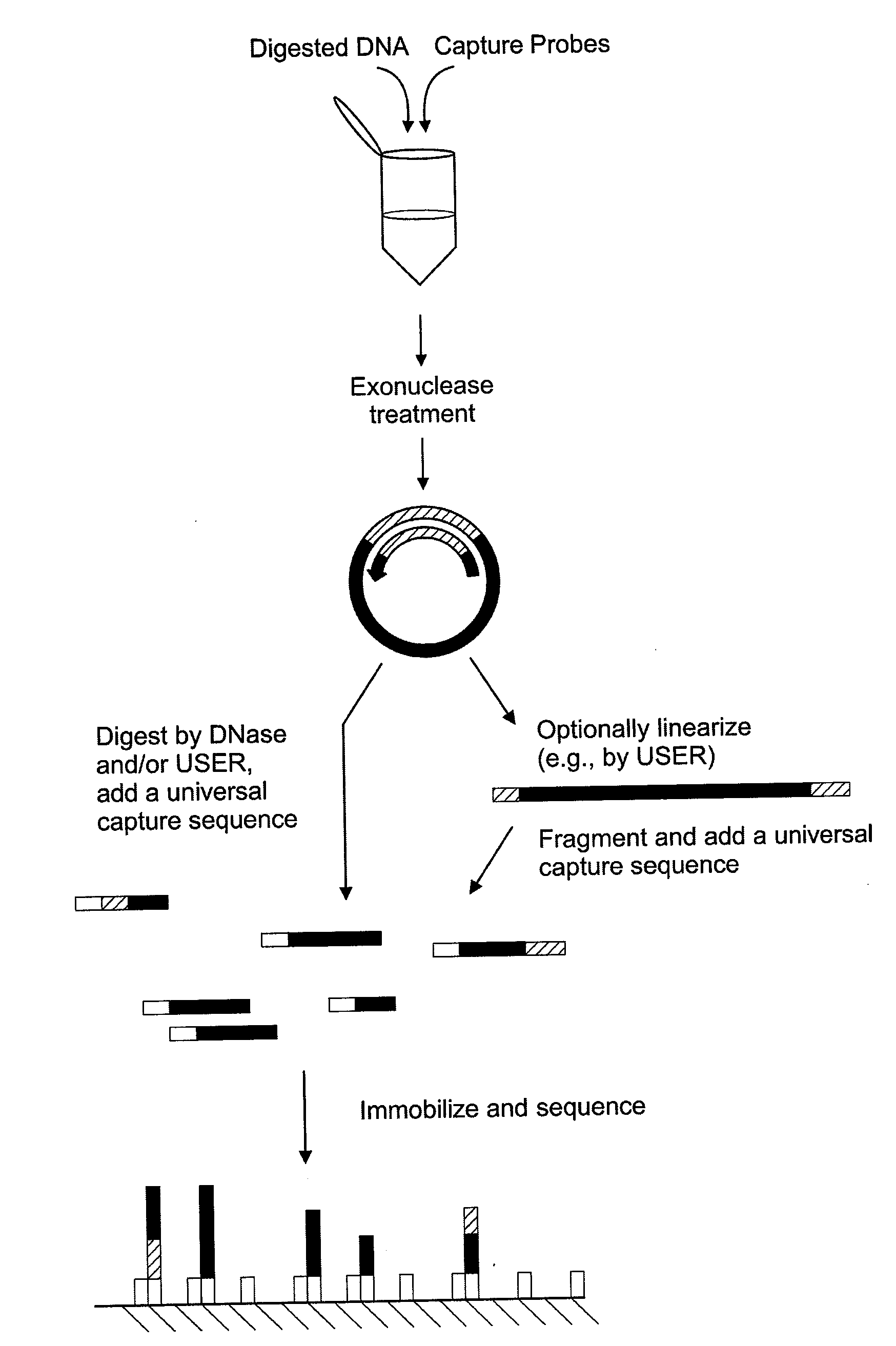 Surface-capture of target nucleic acids