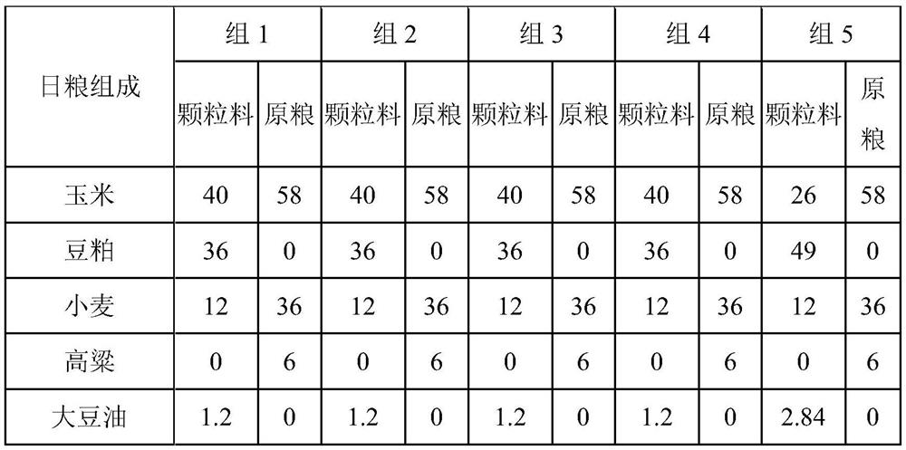 Application of leucine in promoting milk secretion and growth of breeding pigeons