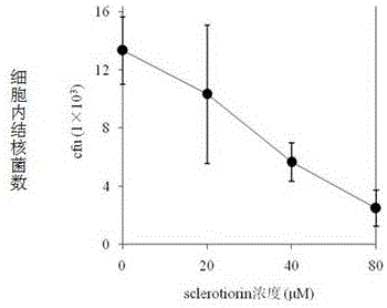 Application of compound sclerotiorin in preparing antituberculosis medicine