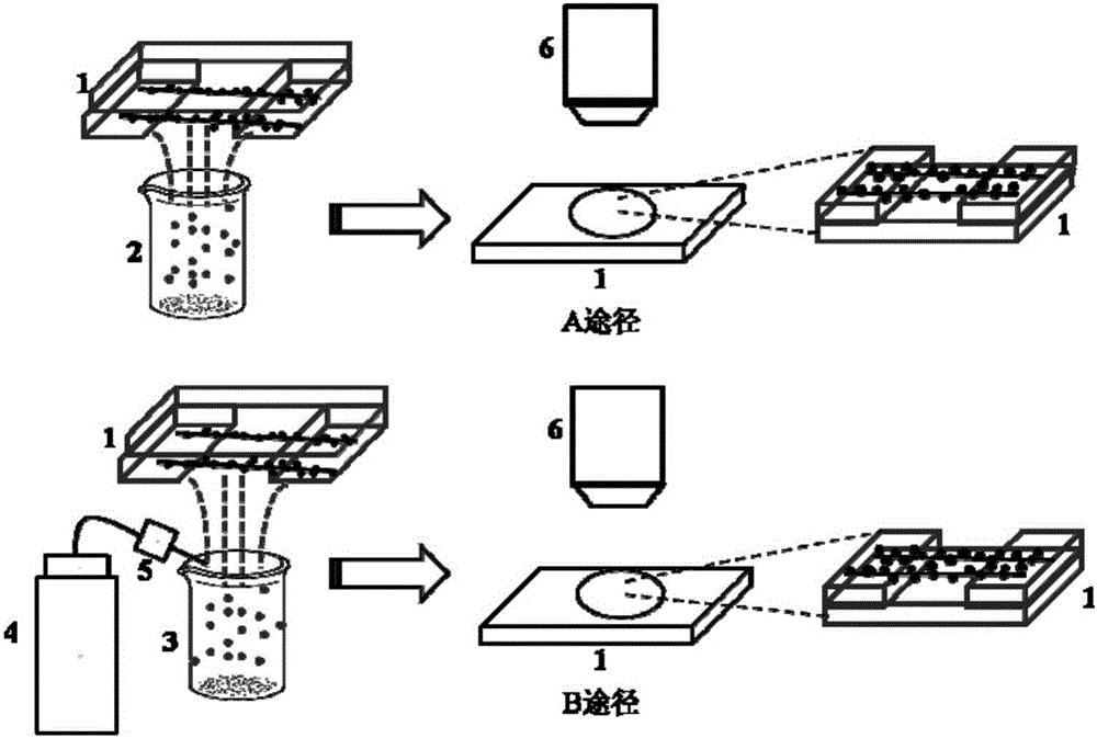 Method for achieving optical visualization of low-dimensional nanomaterials