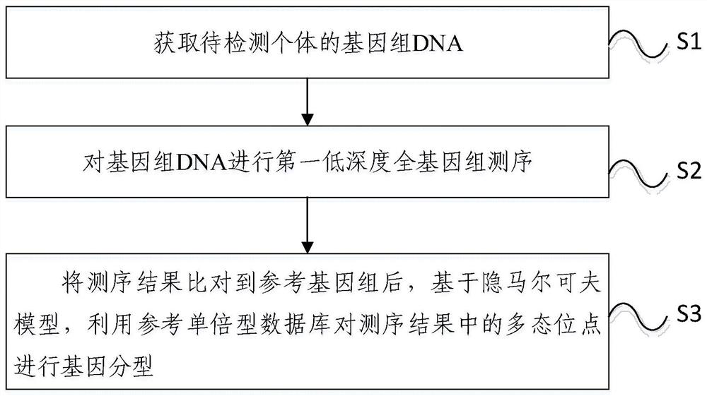 Method and device for detecting SNP marker sites based on low-depth sequencing