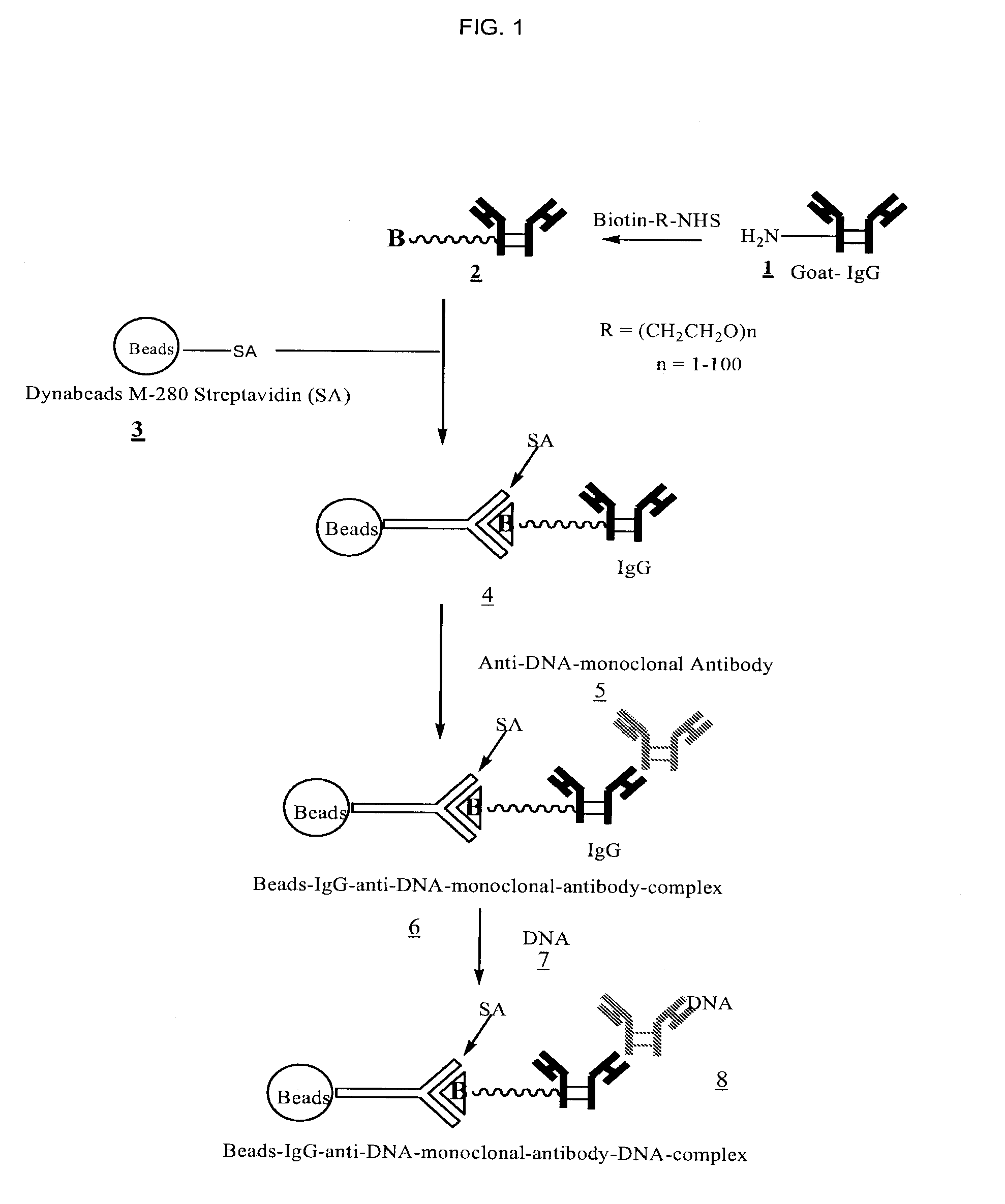 Method for isolating cell free apoptotic or fetal nucleic acids