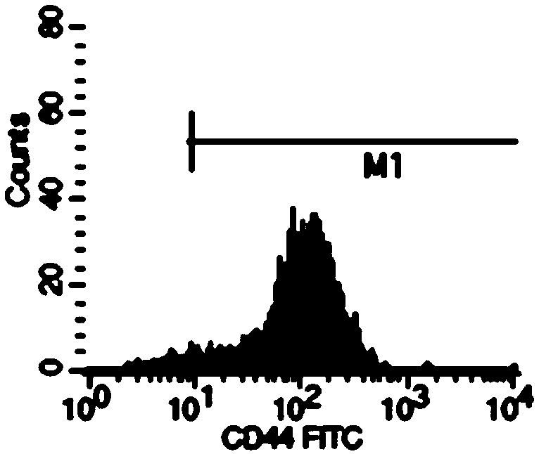 Endometrial stem cell isolation method