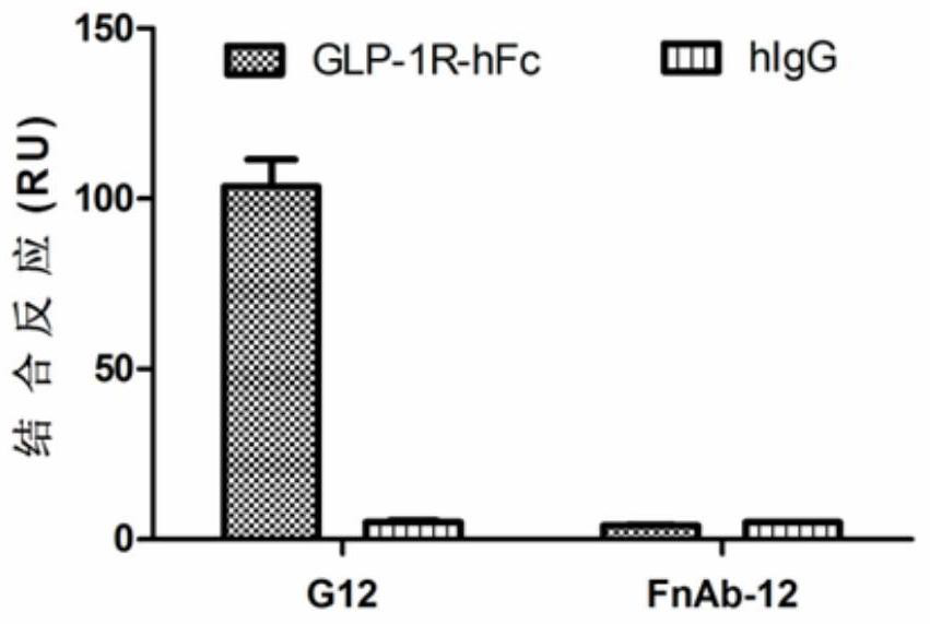 A kind of monoclonal antibody fnab12 and its application