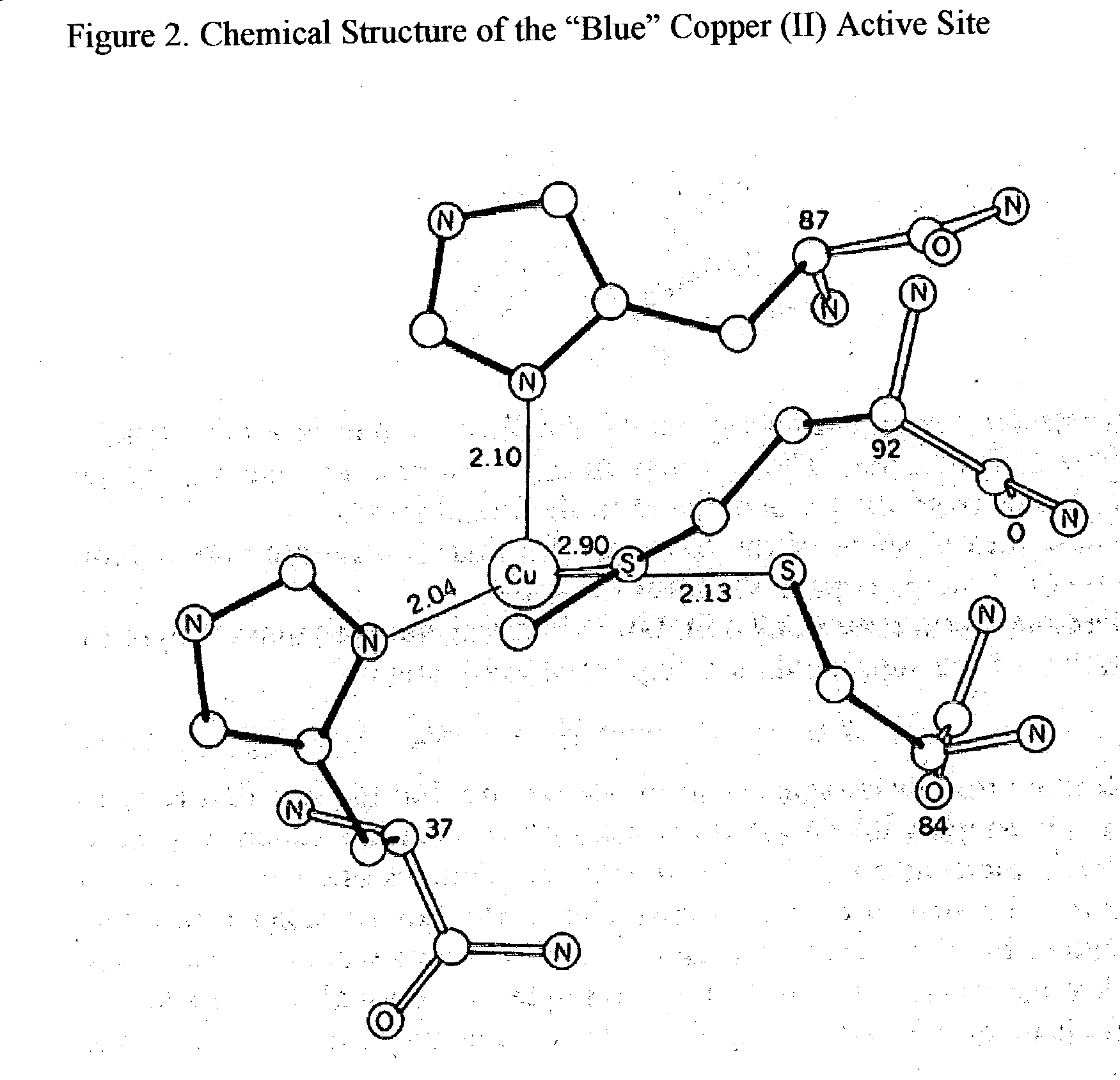 Trace Metals synergized copper nucleotides and copper glycosides for anti-aging and antiviral compositions