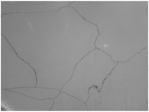 Natural-cross-texture engineered stone and preparation method thereof