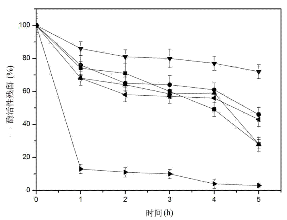 Oxidation resistive amylase mutant as well as preparation method and application thereof