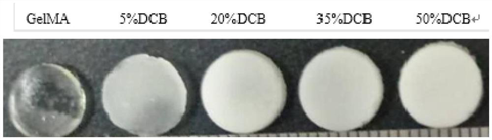 Preparation method and application of blended hydrogel biological scaffold material with biological activity