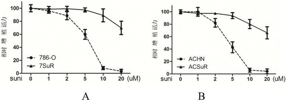 Renal cancer sunitinib drug-resistant cell system and establishing method thereof