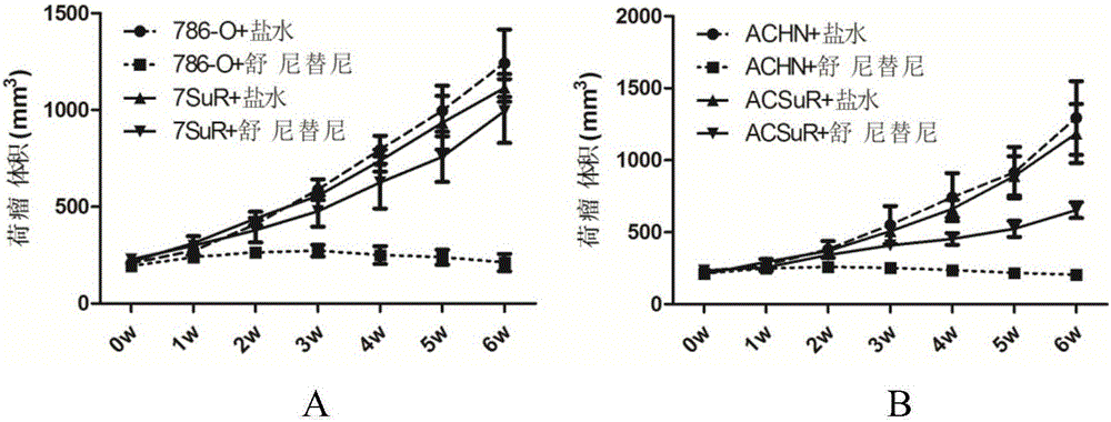 Renal cancer sunitinib drug-resistant cell system and establishing method thereof