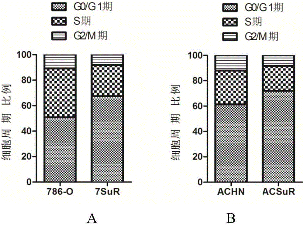 Renal cancer sunitinib drug-resistant cell system and establishing method thereof