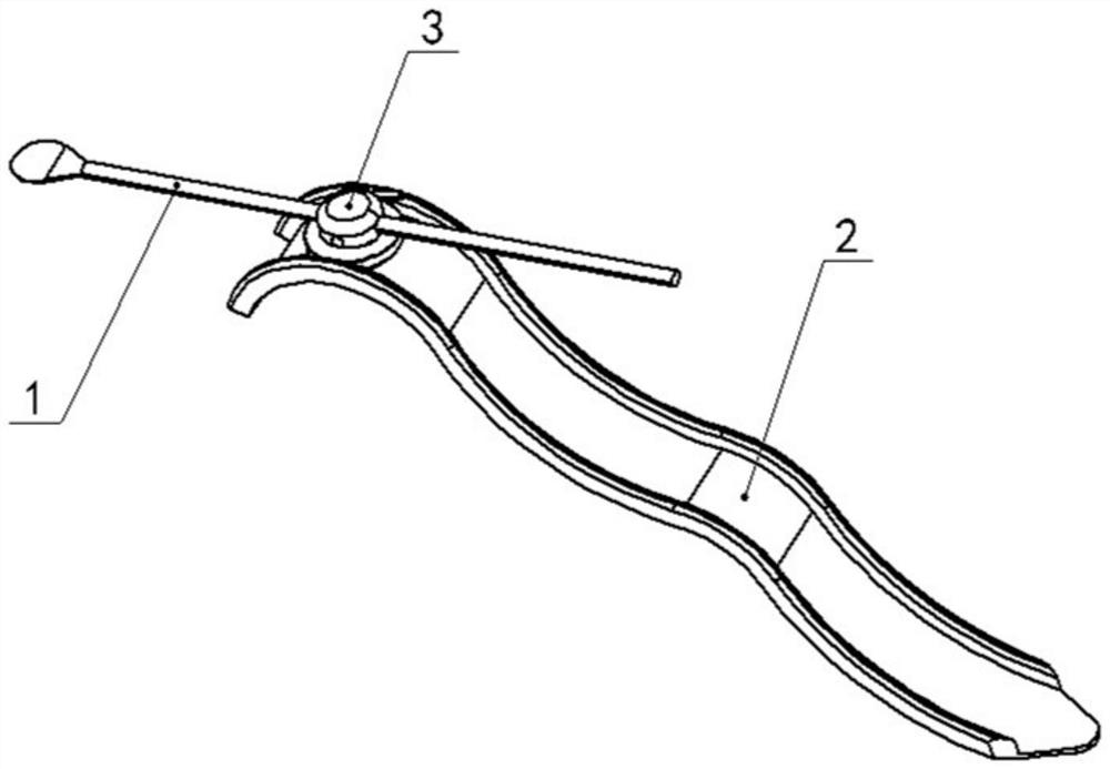 A retractor integrated with gums and corners of the mouth