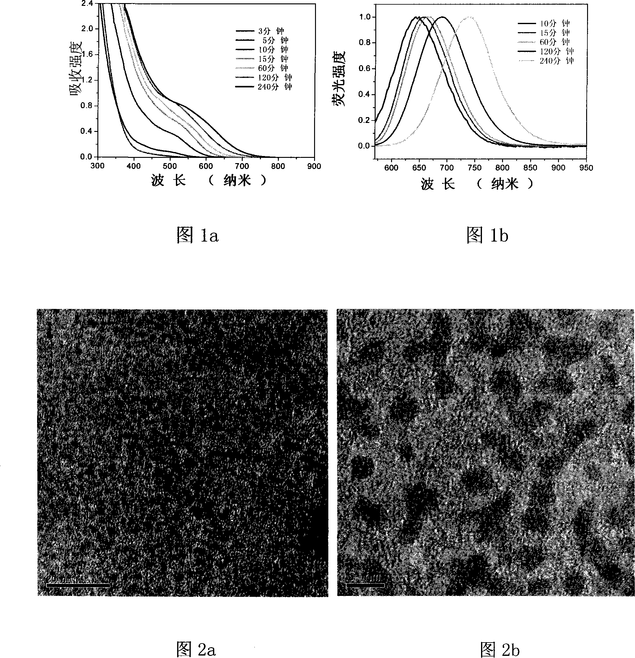 Method for preparing copper-indium-sulfur semi-conductor nano particles