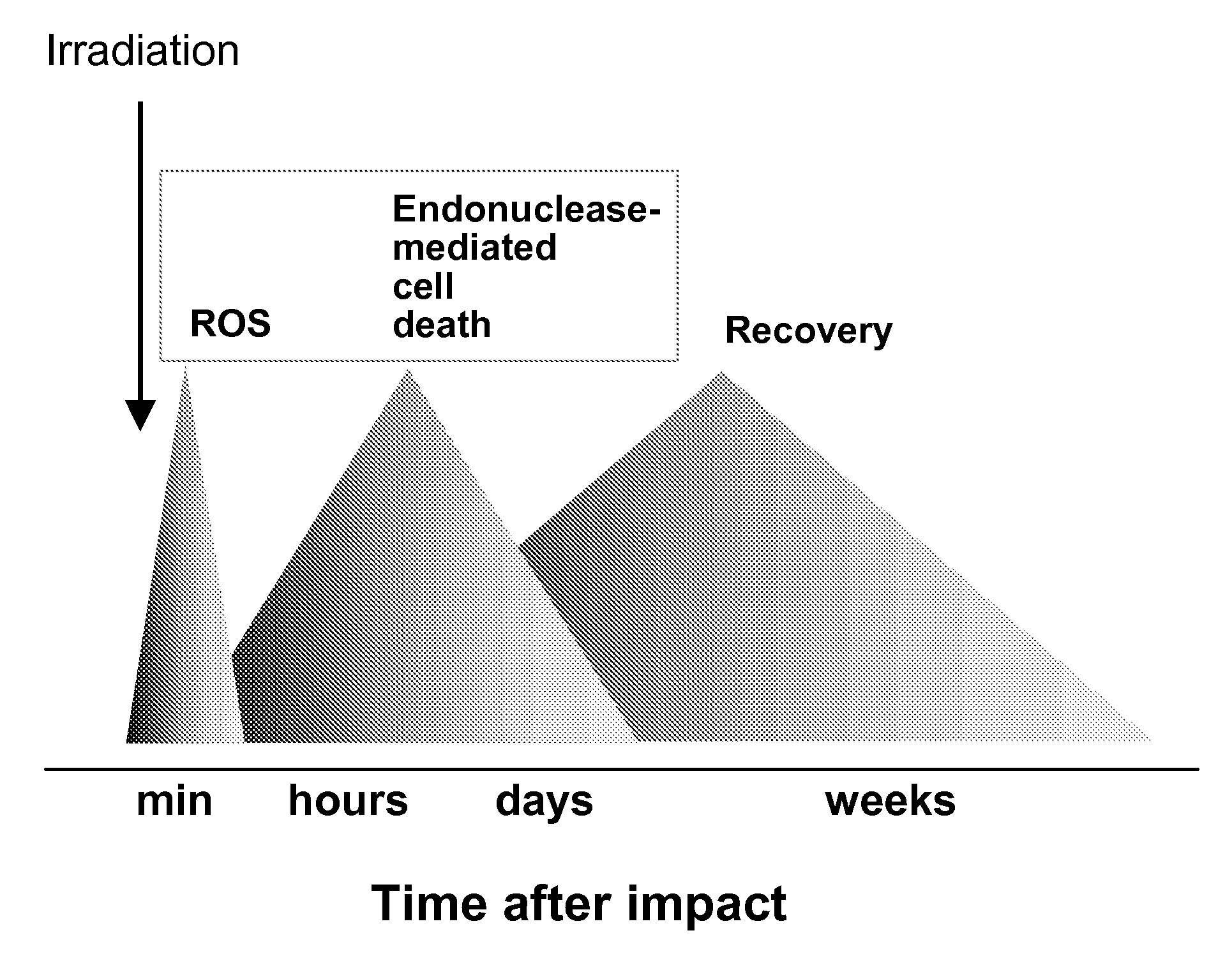 Compositions and methods for cytoprotection