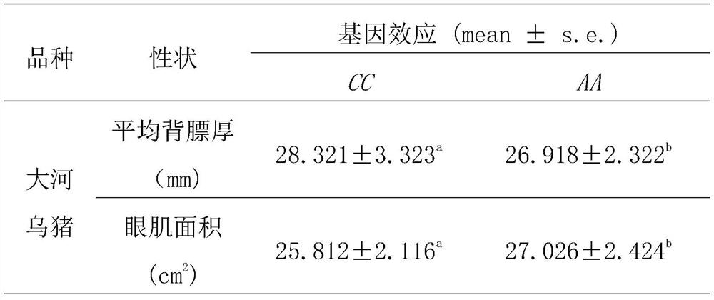 A Genetic Marker Using lrp10 Gene as Eye Muscle Area and Backfat Thickness in Dahe Black Pig