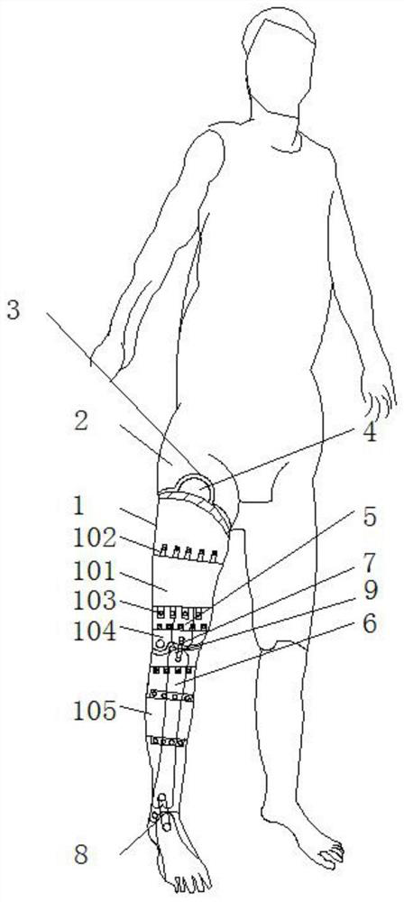 Novel tibial tuberosity traction model