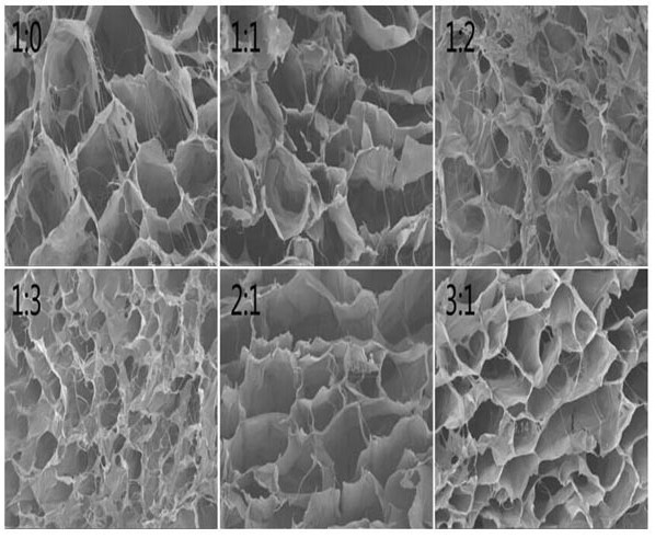 A Type I/Type III Collagen Composite Scaffold Loaded with Mildew Spatholobus