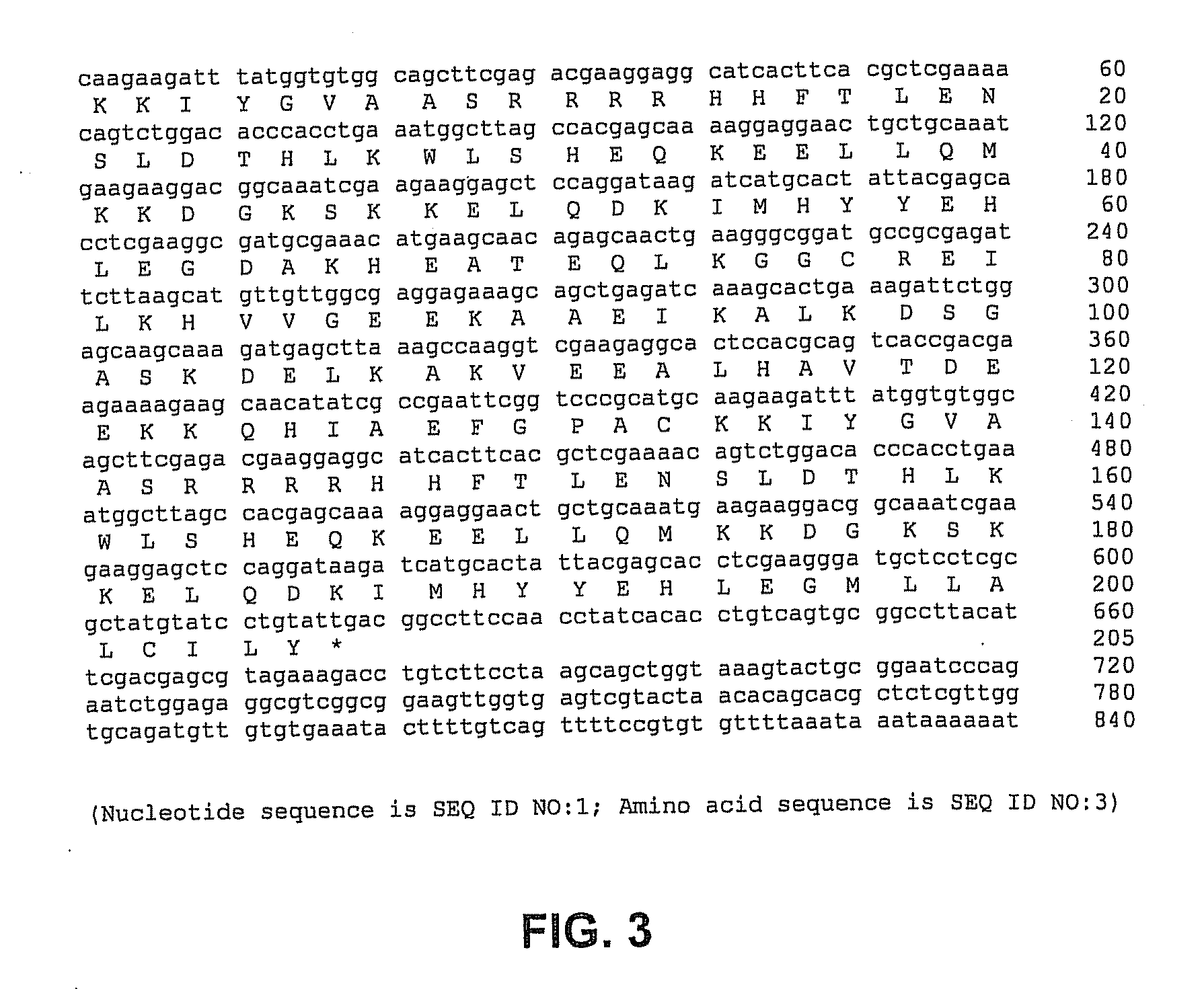 Methods, devices, kits and compositions for detecting roundworm