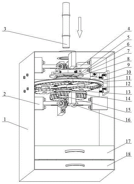 Sugarcane automatic peeler