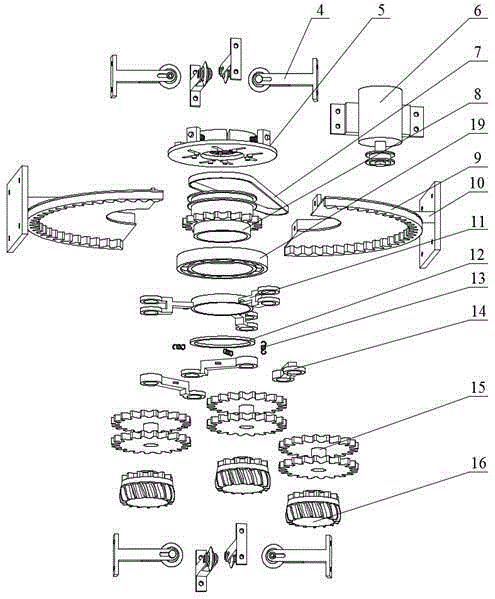 Sugarcane automatic peeler