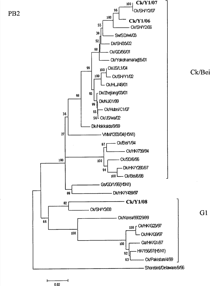 Avian influenza virus (AIV) as well as kit and vaccine used for detecting and preventing same