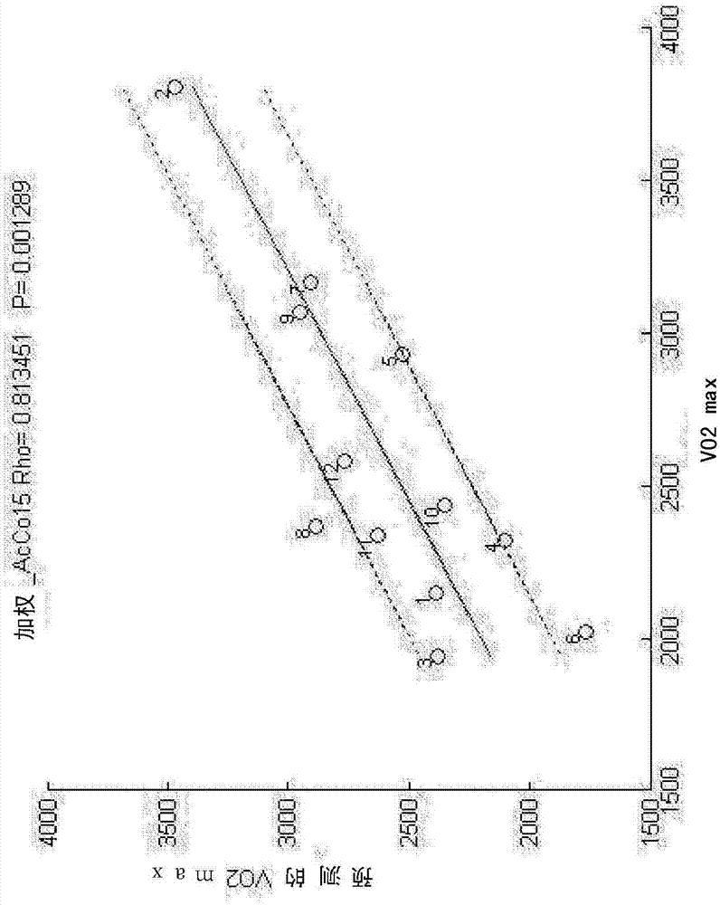 Cardio-respiratory fitness assessment