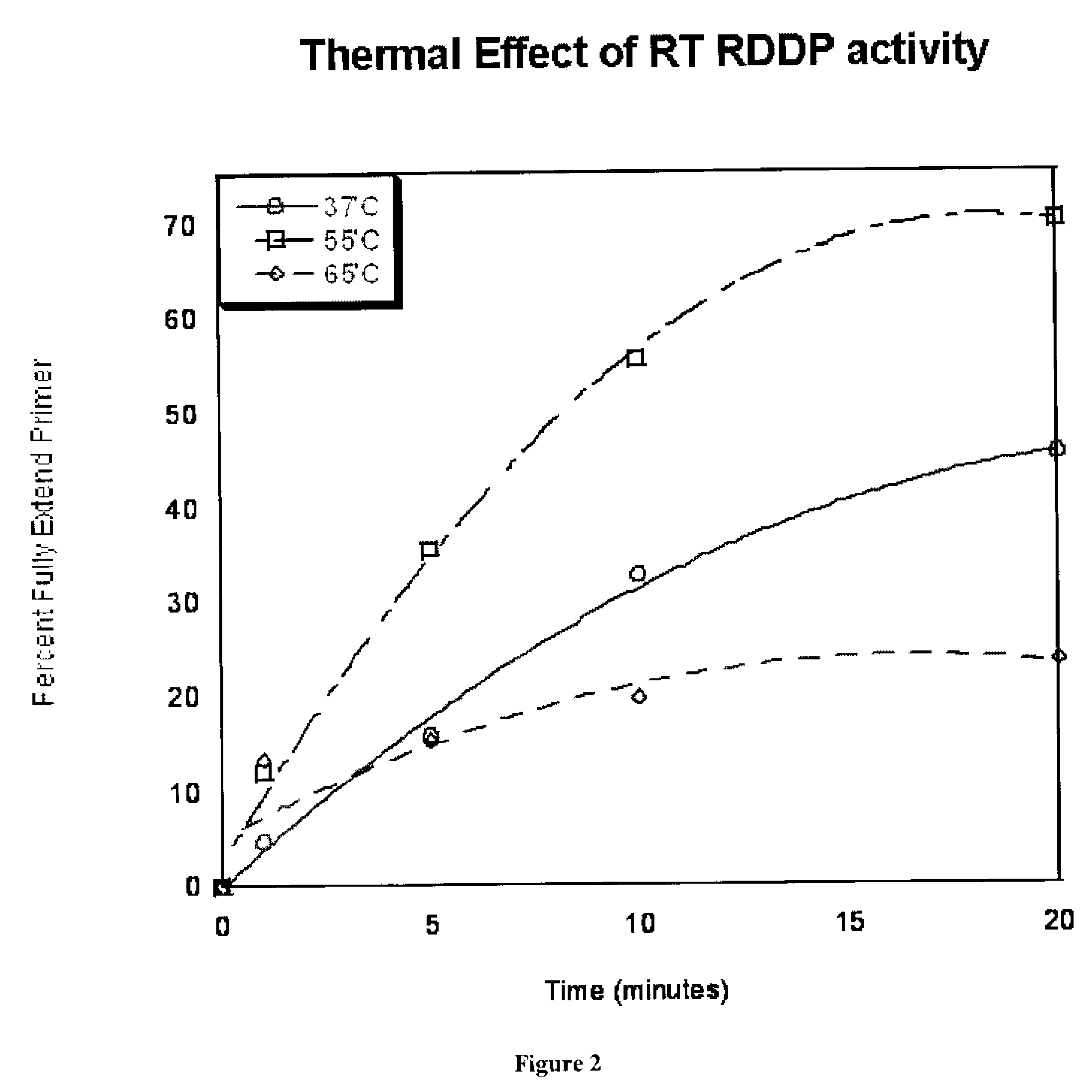 THERMOACTIVE SIVagm SAB REVERSE TRANSCRIPTASE