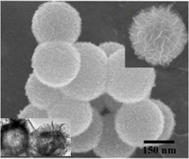 Preparation method of nanometer magnetic material NiFe2O4@ N-C for adsorbing tetracycline hydrochloride