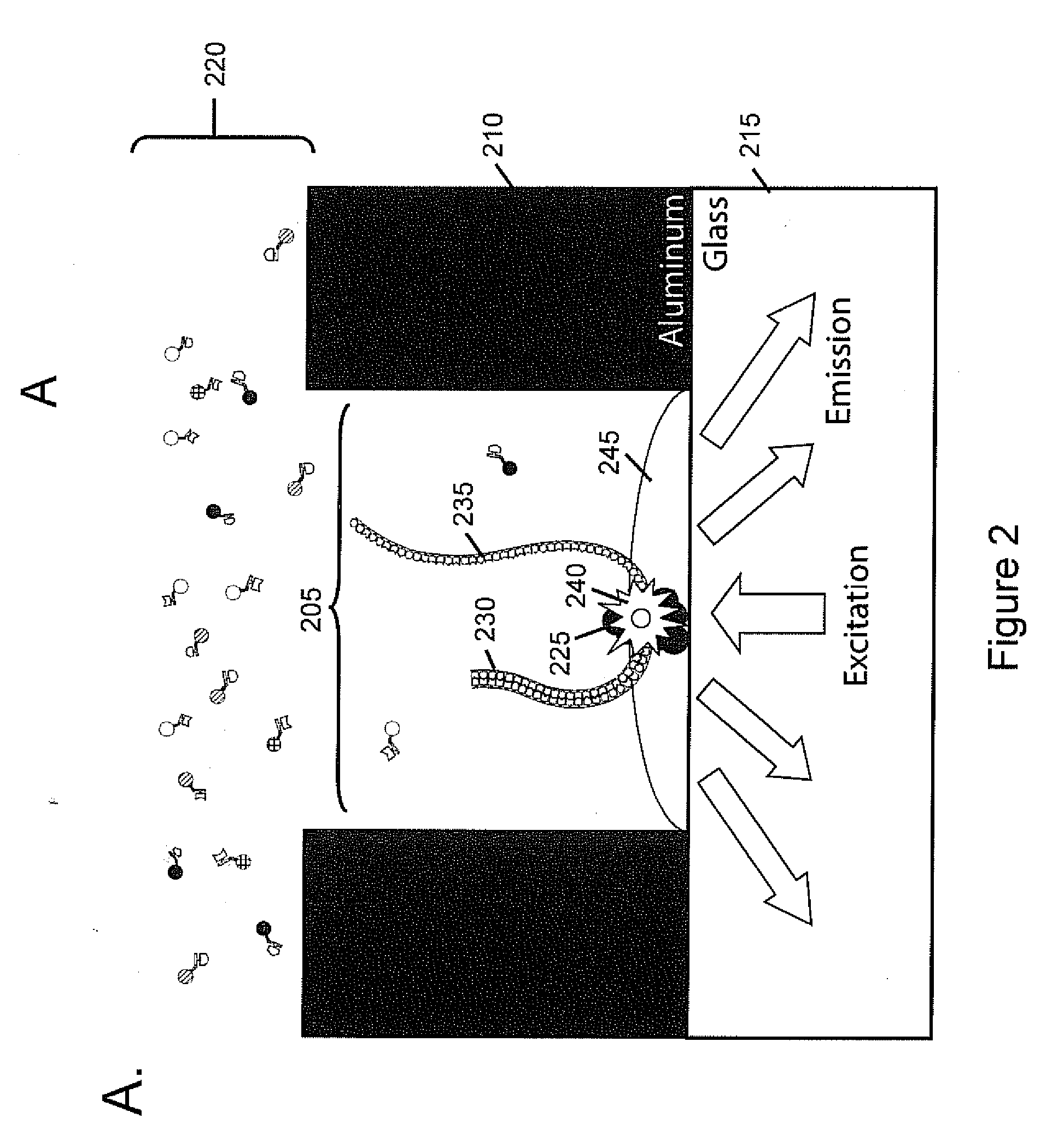 Real-time sequencing methods and systems