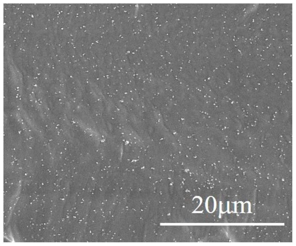 A kind of nanocomposite material and preparation method thereof