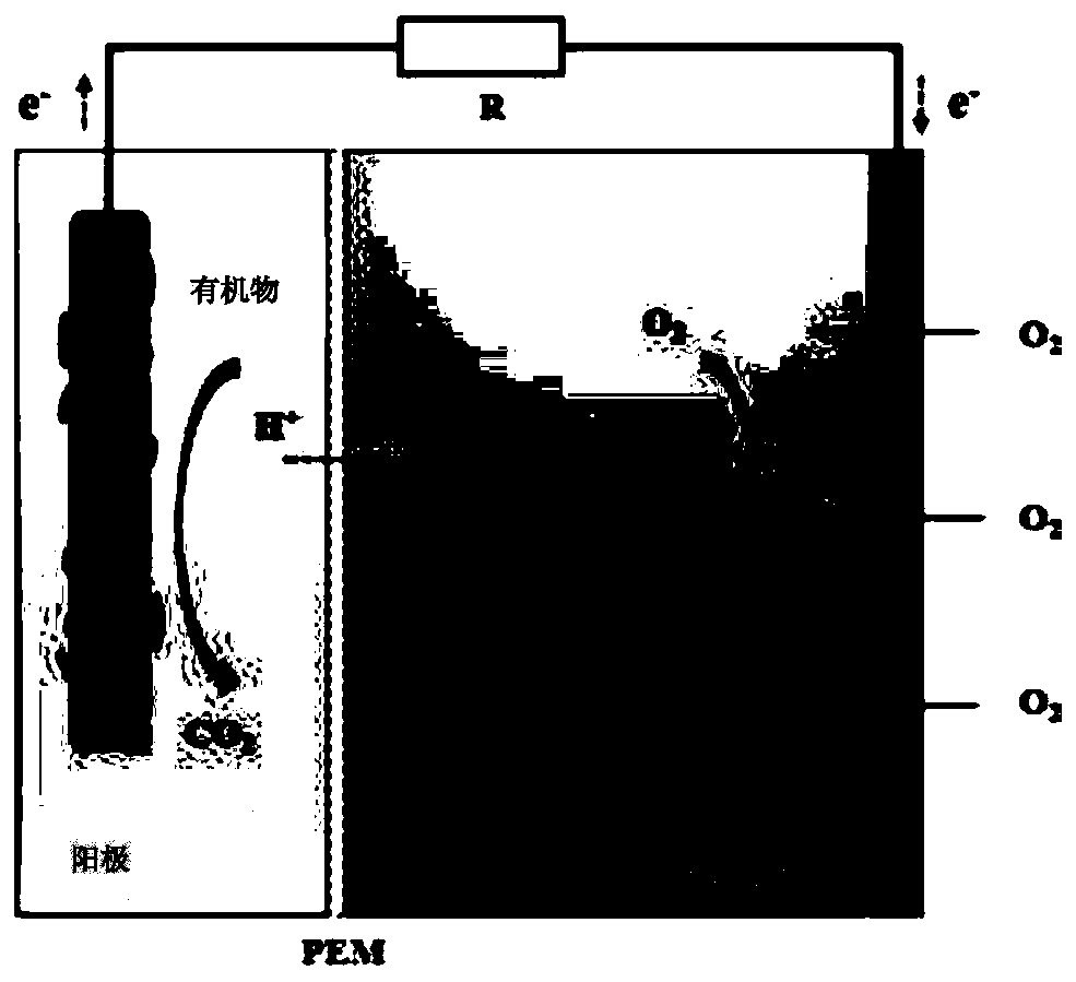 Local coulomb method for measuring biochemically degradable organic matters in water body