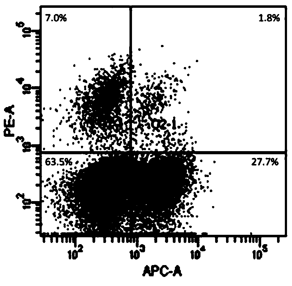 AFP[158-166] specific TCR gene, its transgenic T cell, and in-vitro proliferation method and use of transgenic T cell